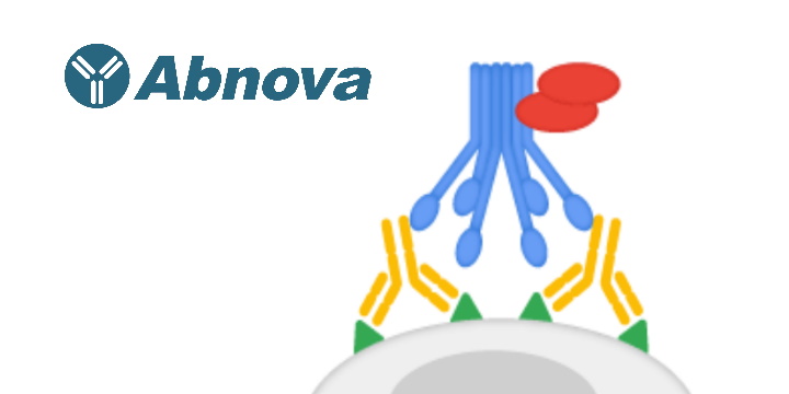 Complement Antibody ELISA Kits