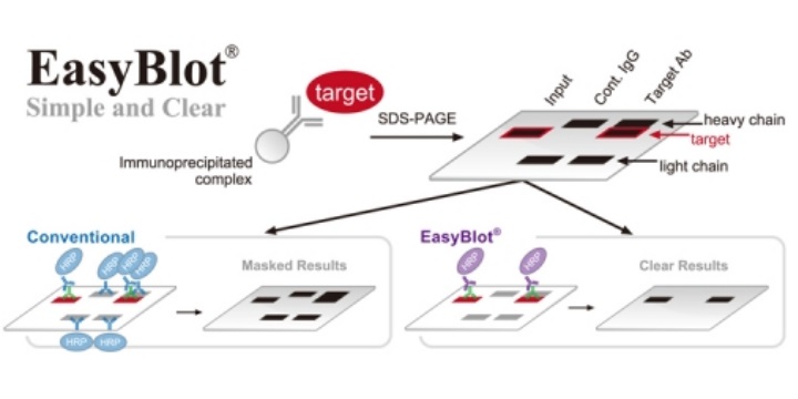 EasyBlot