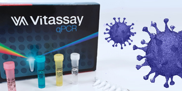 Vitassay qPCR Kits per Sars-CoV-2