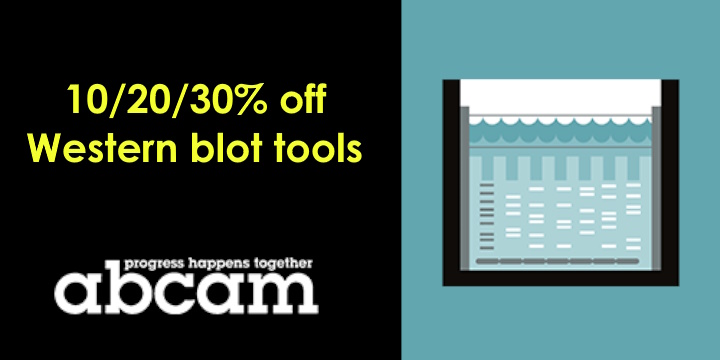 WESTERNBLOT ABCAM: SCONTI FINO AL  30%