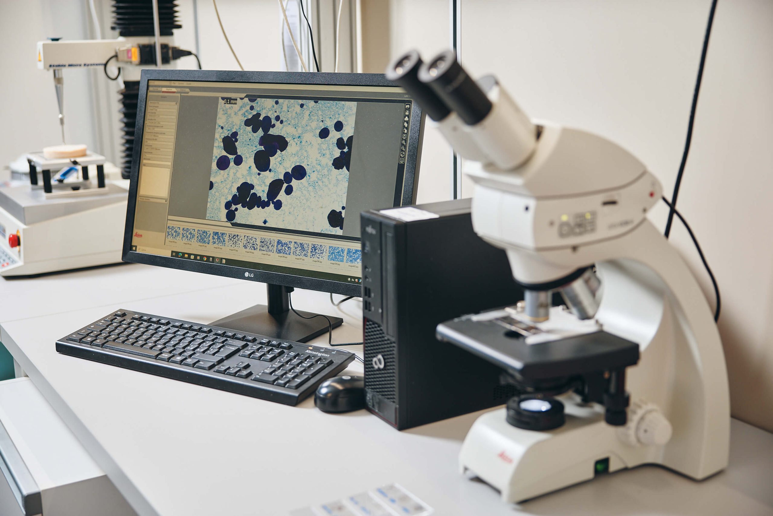 Analisi ingredienti alimentari al microscopio