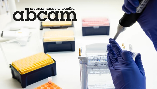 Abcam Western Blot