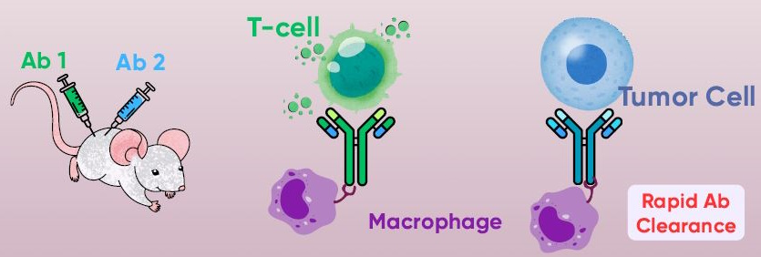 IchorBioscpecific1