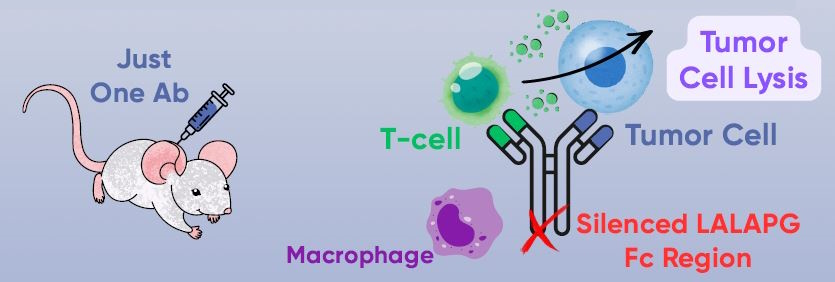 IchorBiospecifici02