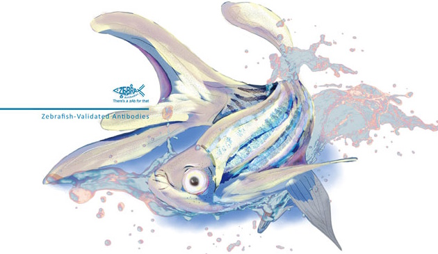 Genetex Zebrafish
